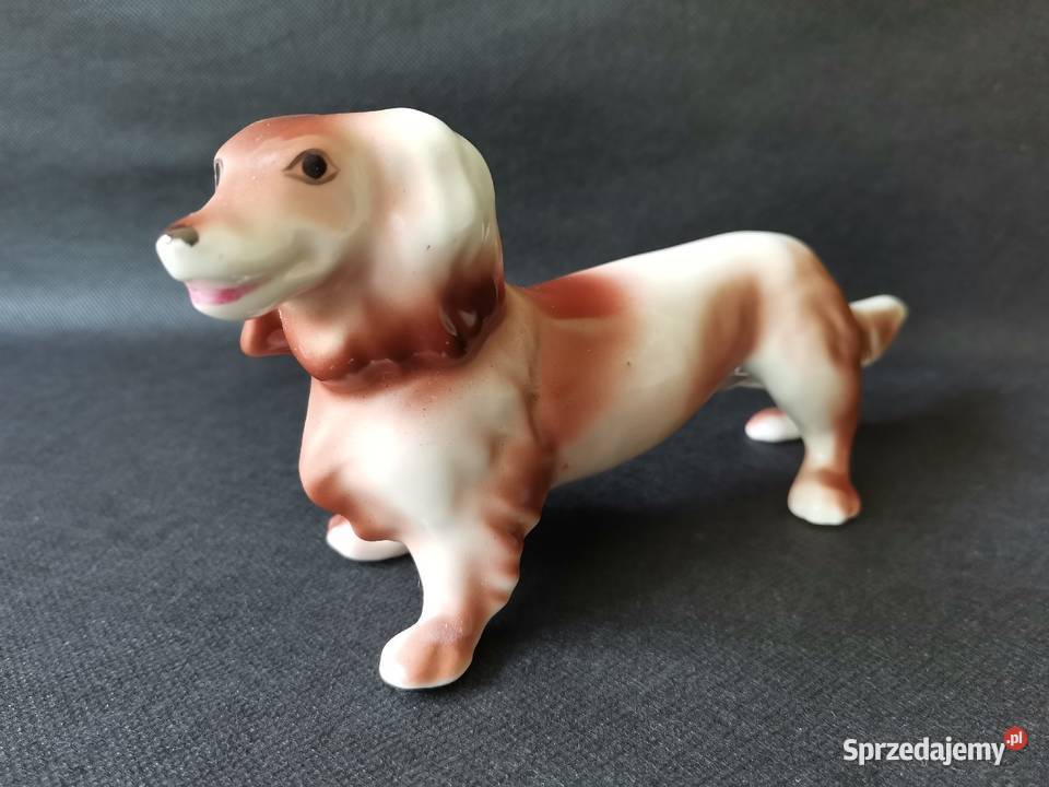 Stara figurka porcelanowa Pies Jamnik porcelana Porcelana i szkło Katowice