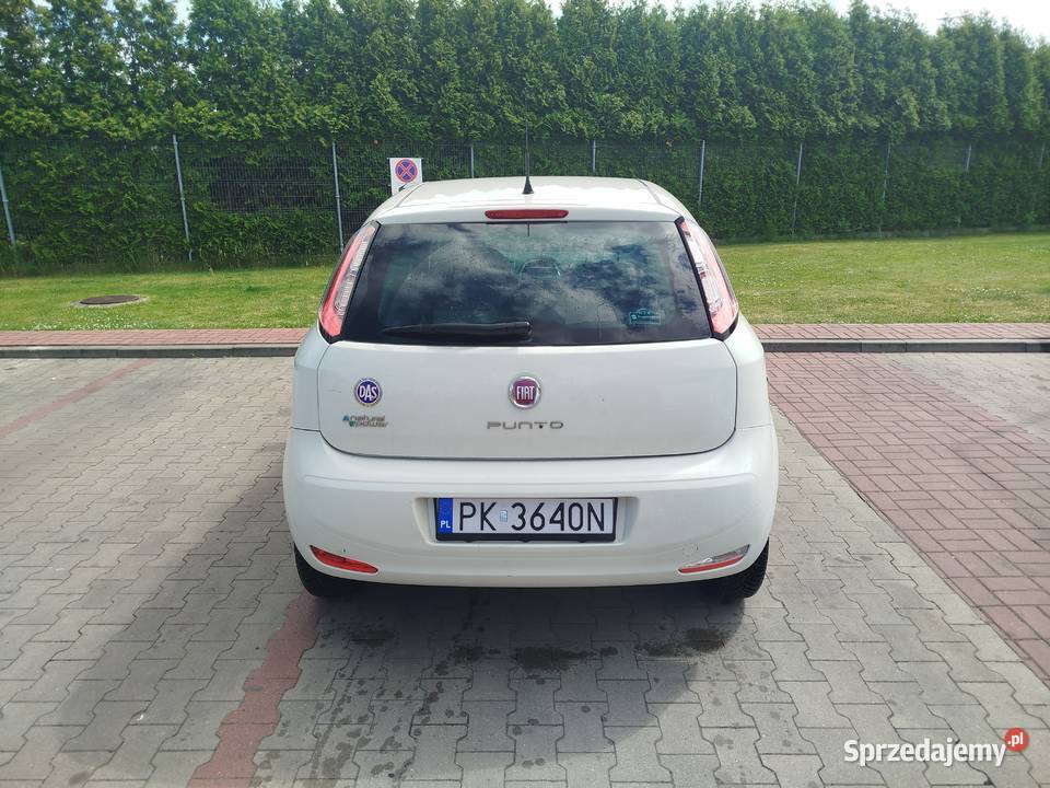 Fiat Punto Young 14 benzyna 2014 Kalisz