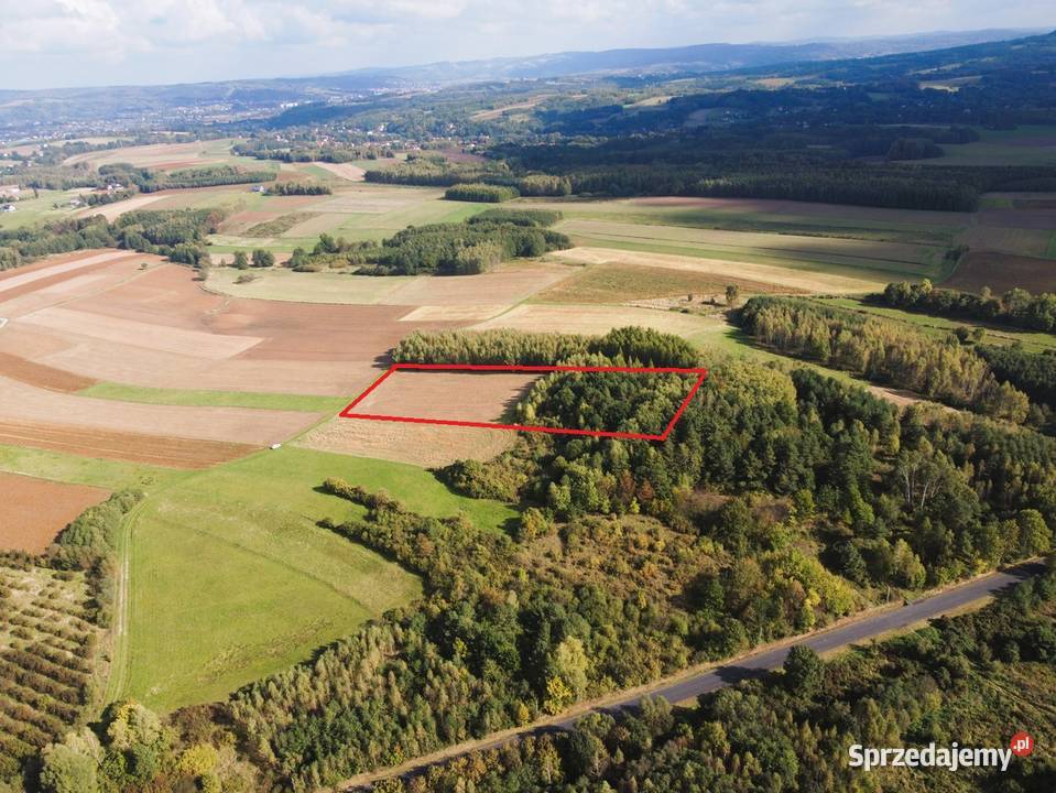 Dziaka rolna 110 ar Oparówka