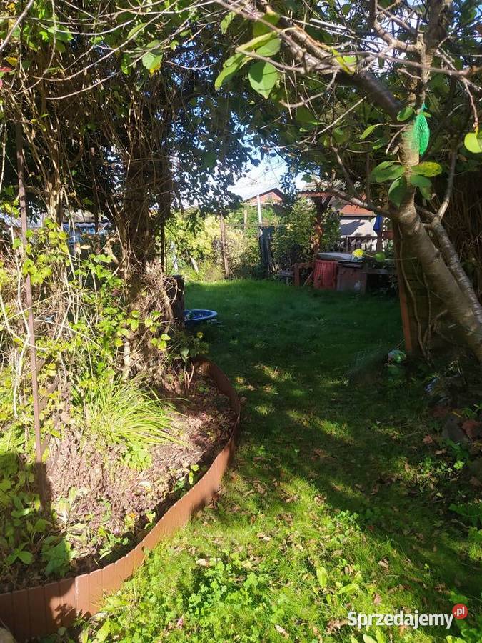 Działka ROD polna Olsztyn sprzedam