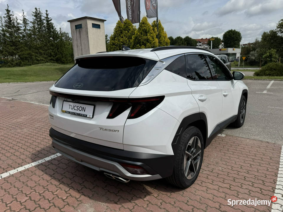 Hyundai Tucson Executive 16 TGDI 7DCT 160 biały Tucson Giżycko