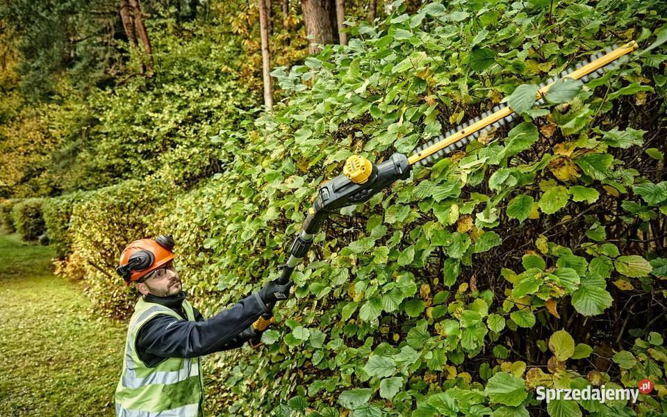 Nożyce do żywopłotu DeWalt akumulatorowe z Kozienice