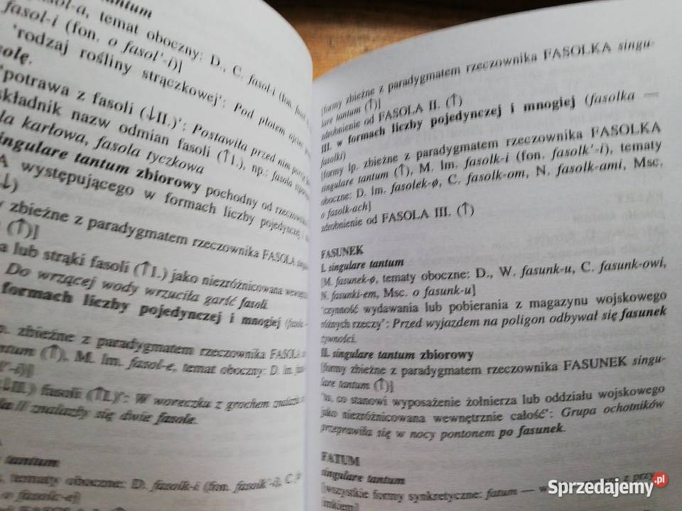 Mały słownik terminów gramatycznych rzeczowników miękka Kultura i Rozrywka sprzedam