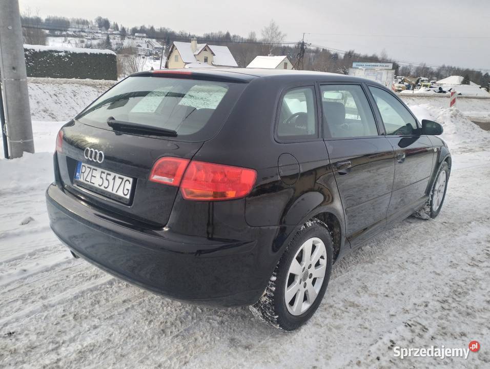 Audi A3 8P 16 B 115 Rzeszów