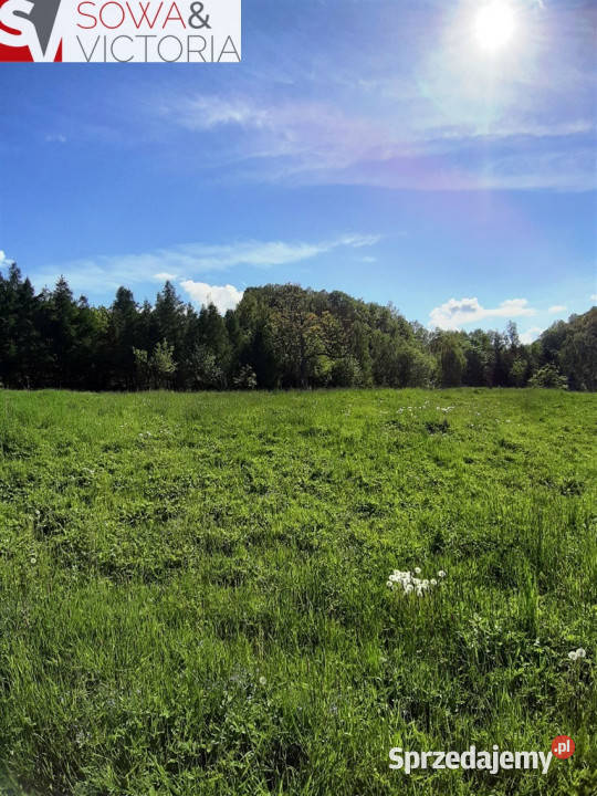 Działka w Cieszowie Nieruchomości dolnośląskie Cieszów sprzedam