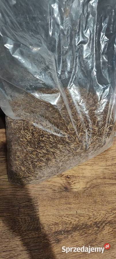 Sprzedam suszone larwy mącznika młynarka Bochnia
