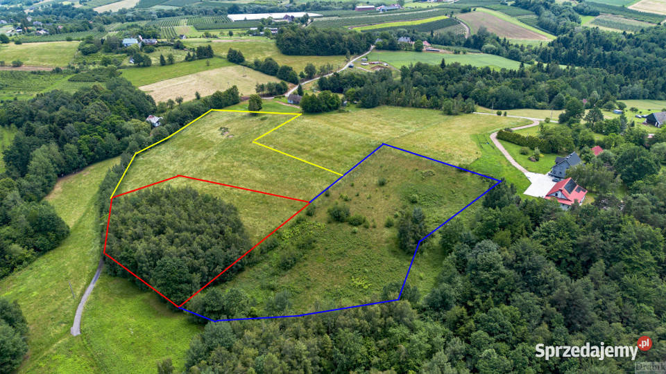 Grunt sprzedam 6500m2 Zegartowice Zegartowice