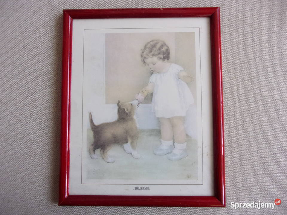 ładne 2 reprodukcje z serii Garden Collection inny kolor Warszawa