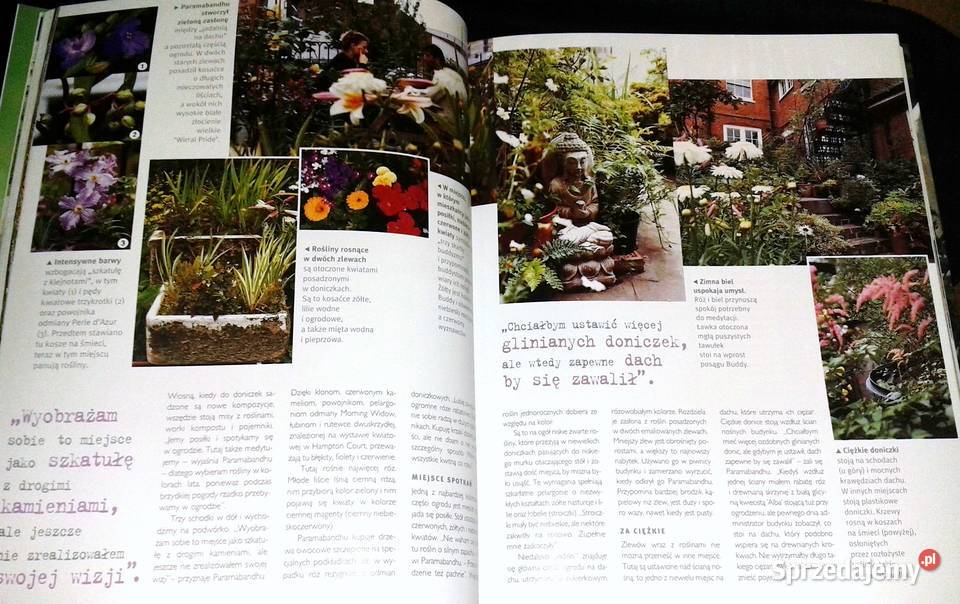 Ogród w doniczkach Readers Digest twarda Pozostałe Chełm sprzedam