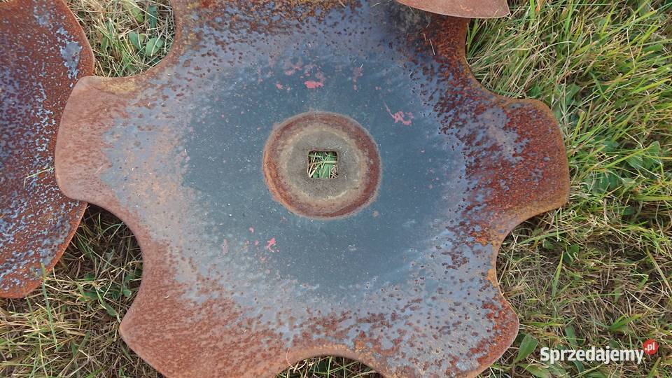 Talerze do talerzówki Famarol Słupsk 510 mm nieuszkodzony Dęblin sprzedam