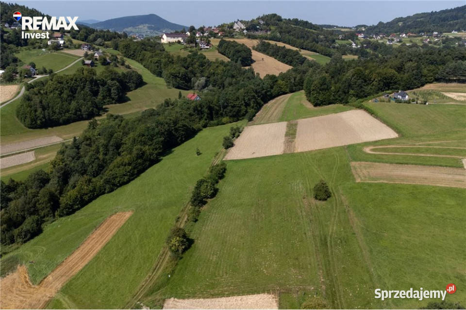 Prywatny las 3331 m2 Twoja przestrzeń w naturze leśna Młynne