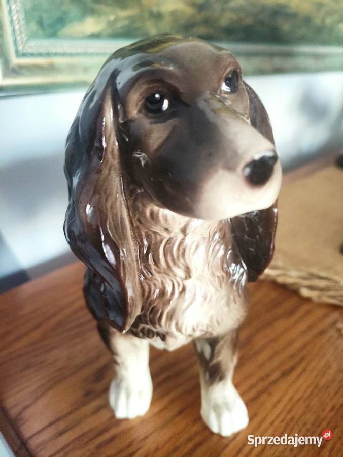 Ceramiczna figura Cocker Spaniel Cortendorf Janów Lubelski sprzedam