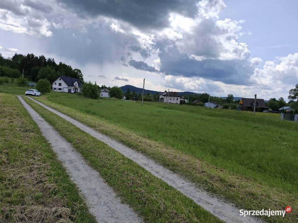 Działka budowlana 975 ar z WZ Osobnica 4153 56zł/m2 Sprzedaż