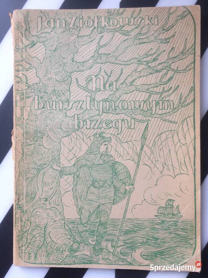 3652 Na Bursztynowym Brzegu Szczecin zachodniopomorskie