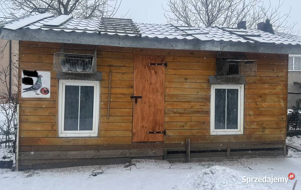 Sprzedam gołębnik Radzyń Podlaski