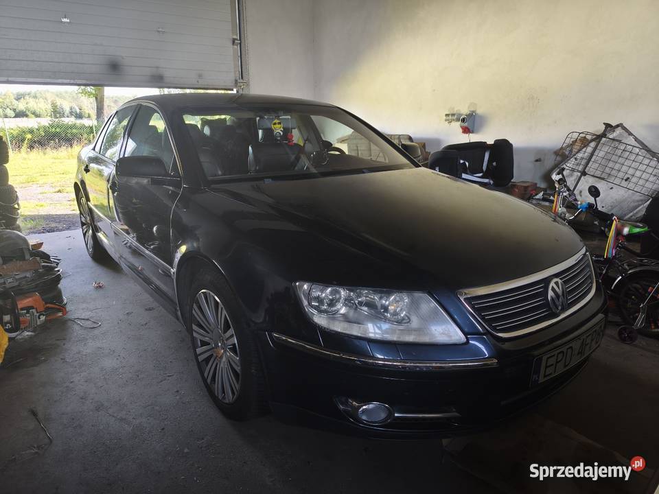 VW Phaeton 30 TDI 233 konie łódzkie Aleksandrów Łódzki