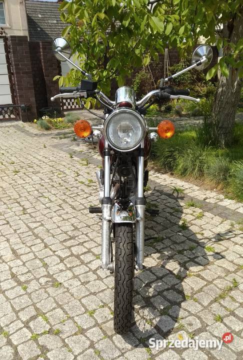 SUZUKI TU125X GN TUX 125 cruiser