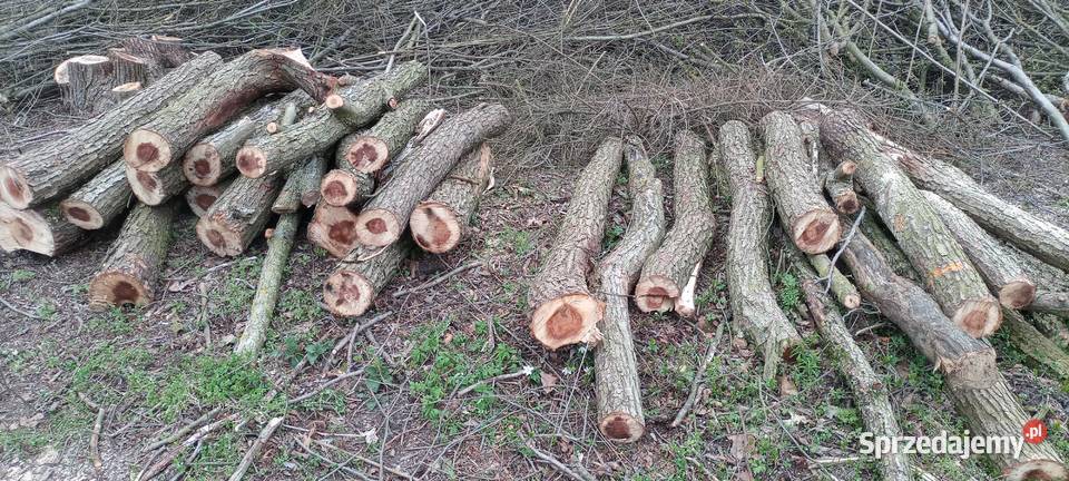 Sprzedam drewno opałowe i kominkowe gałęziówka Kostrzyn
