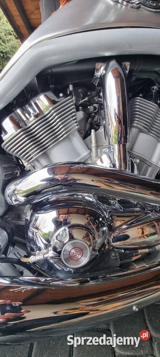 HarleyDavidson VRSCA VRod 100th Anniversary