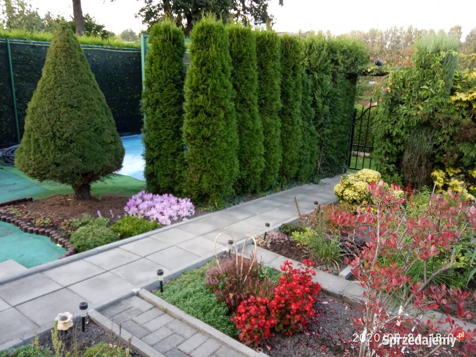 Sprzedam działkę rekreacyjną Żory sprzedam