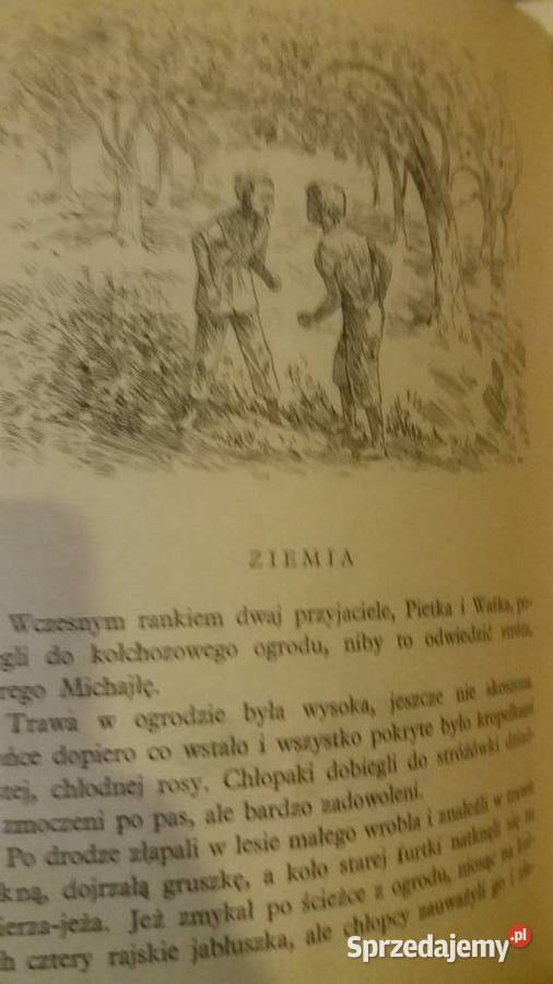 Przygoda w lesie piękne książki dziecięce Dzień Warszawa
