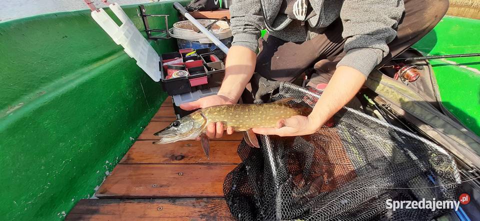 Działka na Mazurach z linią brzegową jeziorem warmińsko-mazurskie Pasym