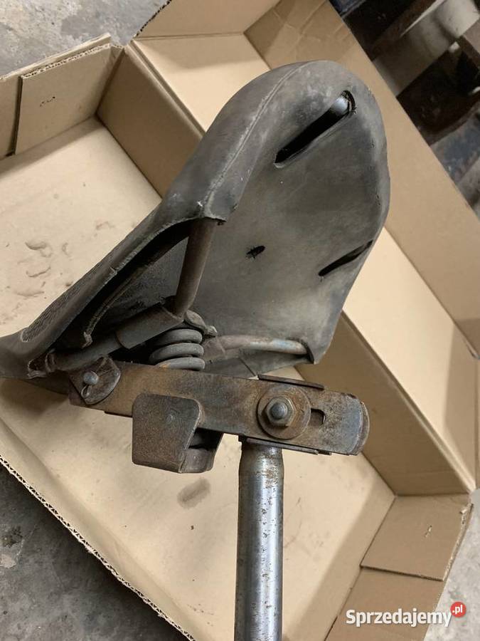 Siedzenie komar sztywniak wielkopolskie