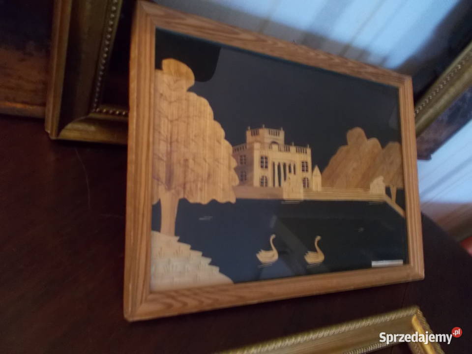 Obraz Warszawa Łazienki Prasowana Słoma PRL Szczecin