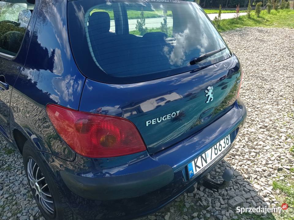 Peugeot 307 16 benzyna 169 Przebiegu Hatchback Grybów