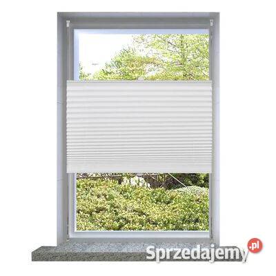 Roleta plisowana biała 60x125