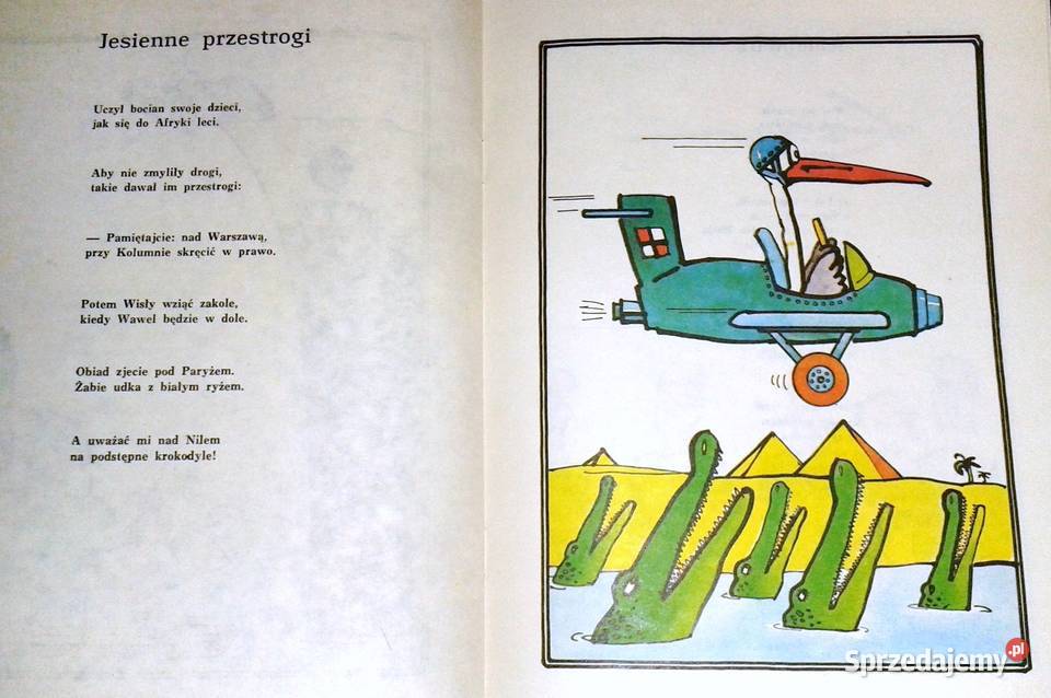 Zimowy spacer Andrzej Warzecha Chełm