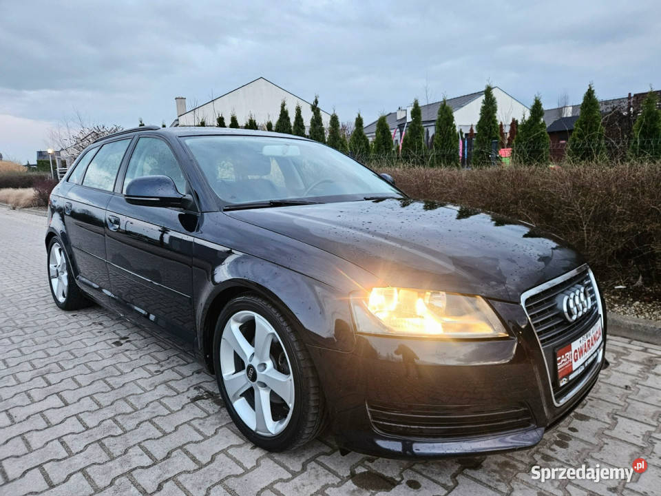 Audi A3 Sportback Rata 450 Zadbany SPORT Serwis A3 Audi wielkopolskie Śrem