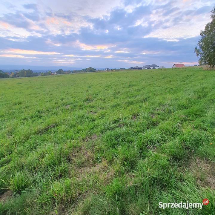 Działka inwestycyjna w Boguszynie k Kłodzko 1010 Boguszyn sprzedam