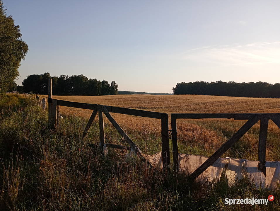 Działka rolnoleśna jezioro Świerzenko