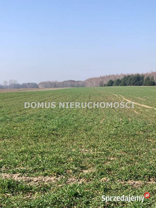 Działka 1577m2 Złotniki sprzedam