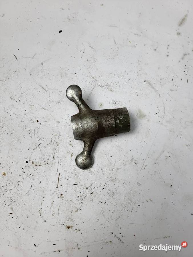 awo motylek dyfra zabierak tourist turist sport Rybnik