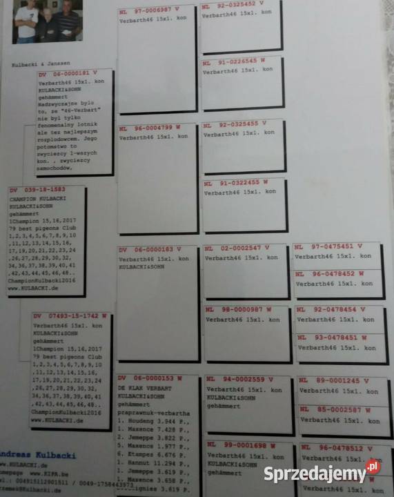 Golomp pocztowy De Klak Verbarth Paczyna