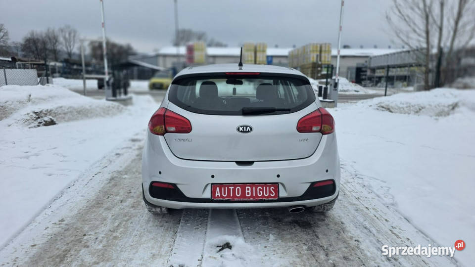 Kia Ceed klima zarejestrowana salon polska LEDY kurtyny powietrzne Lębork