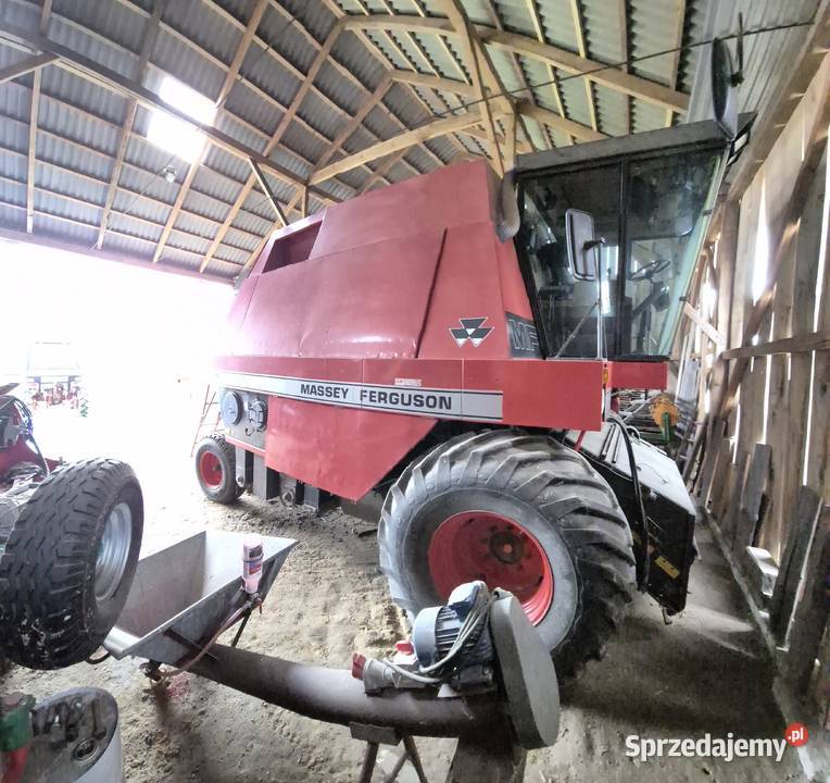 Massey ferguson 31 Żuków-Kolonia