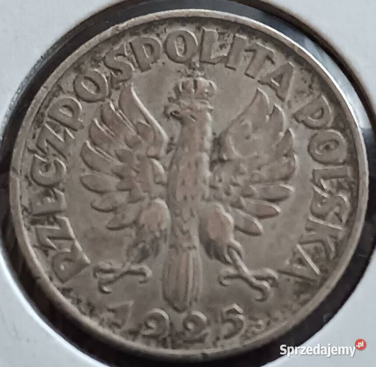1 Złoty Żniwiarka 1925 r z kropkąmennica Konin