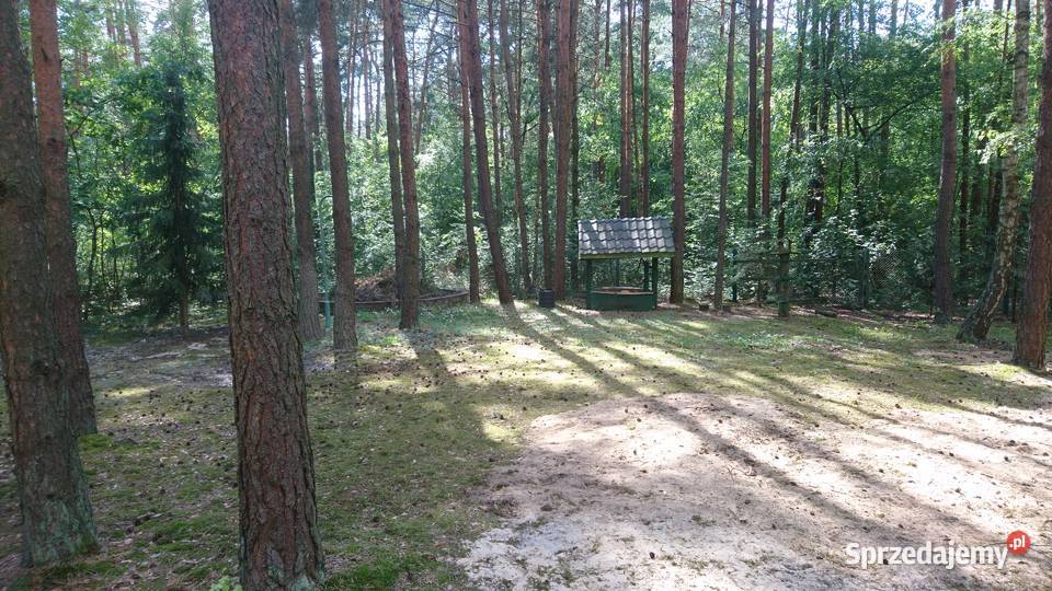 Dzialka leśna domek rzeka Brody Emilianów Sprzedaż Łódź sprzedam