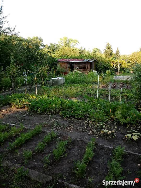 Ogródek Działkowy Hagera Zabrze RodSzarotka siatka