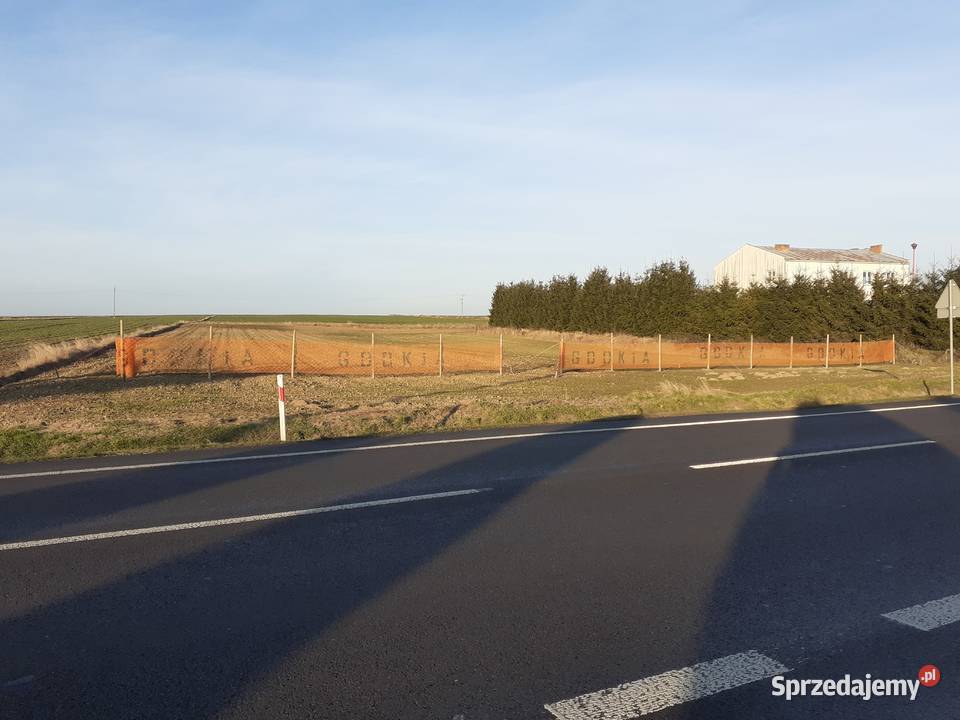 Działki 72 ar Wielącza DK 74 Zamość