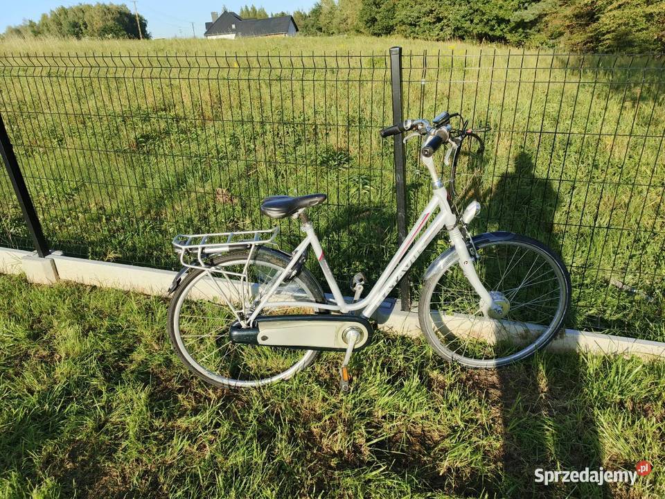 rower Elektryczny BATAVUS Fuego EGo