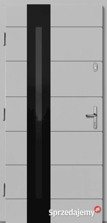 DRZWI DREWNIANE 1000 x 2100 HIRUNDO BIAŁE Łask