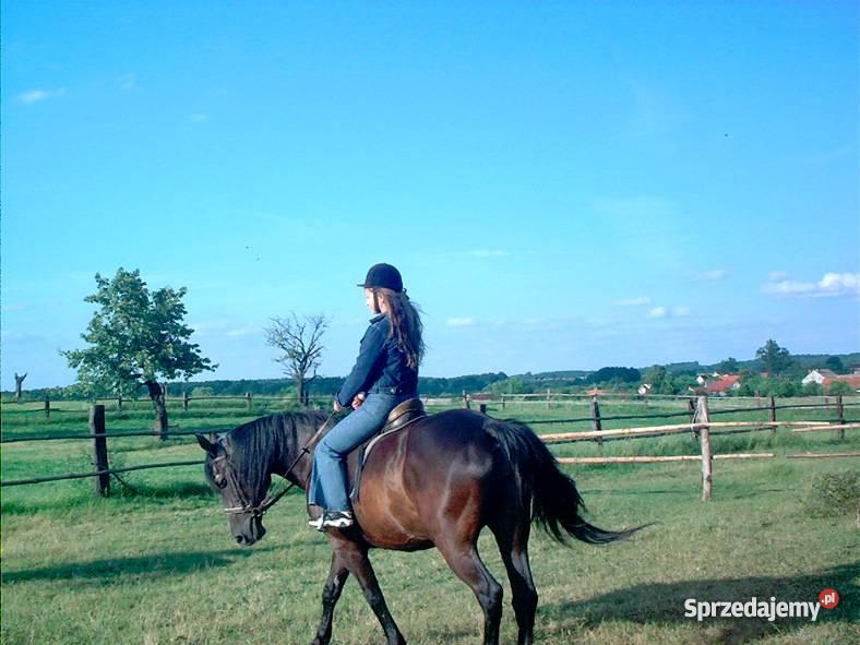 działkę OSOLINOborniki Ślaskie Osolin