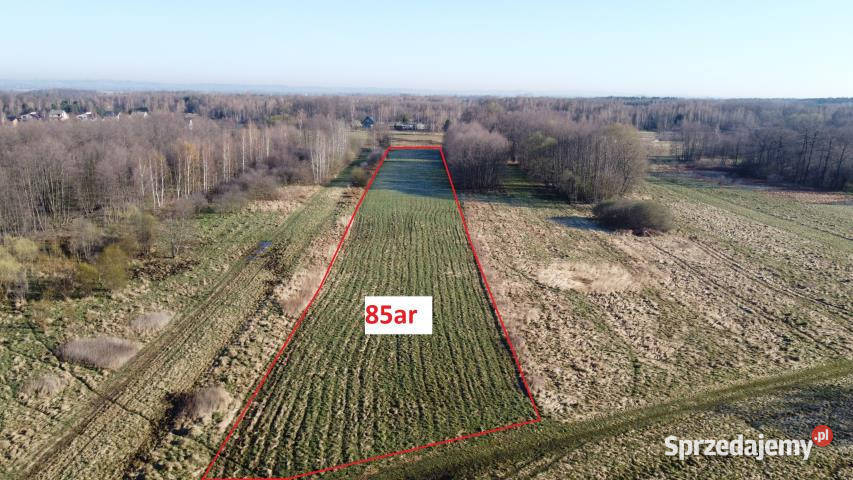 Grunt 8500m2 Bratucice