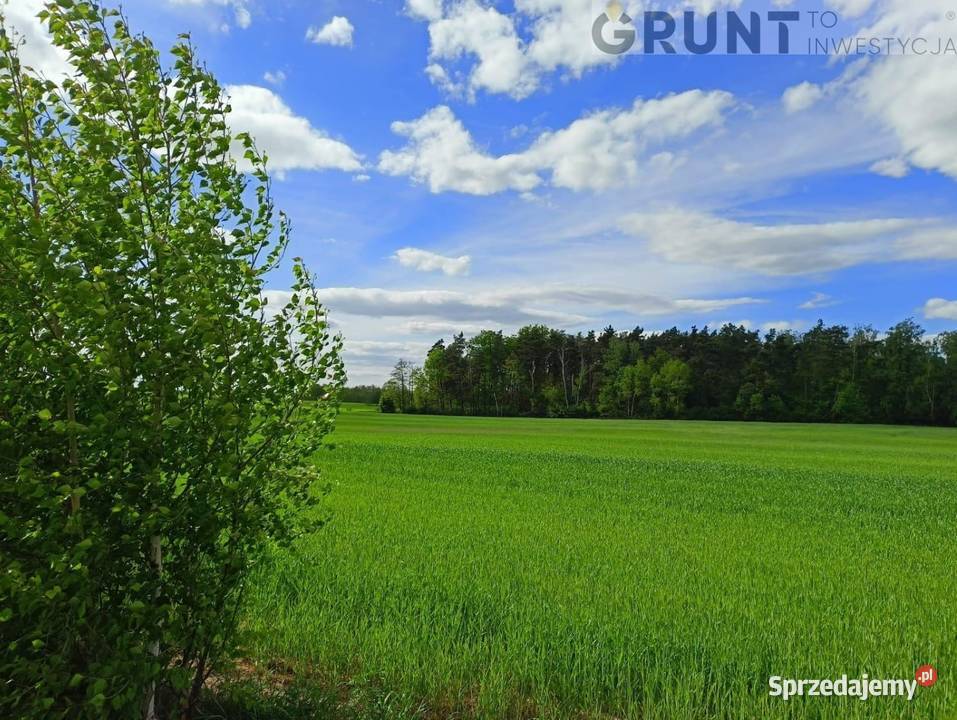Działki budowlane ostatnia okazja Czachowo