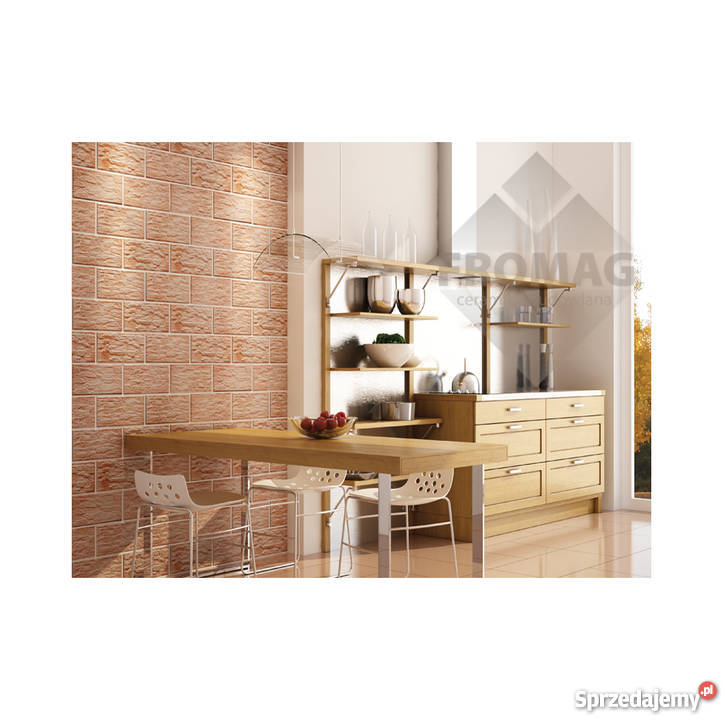 ELEWACJA Kamień szlachetny Aragonit Koral Jaspis Budownictwo i akcesoria Głogów