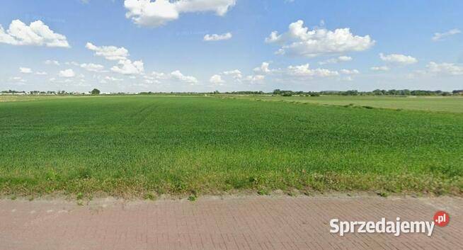 46 ha Gołaszew gm Ożarów Mazowiecki 70zł/m2 mazowieckie